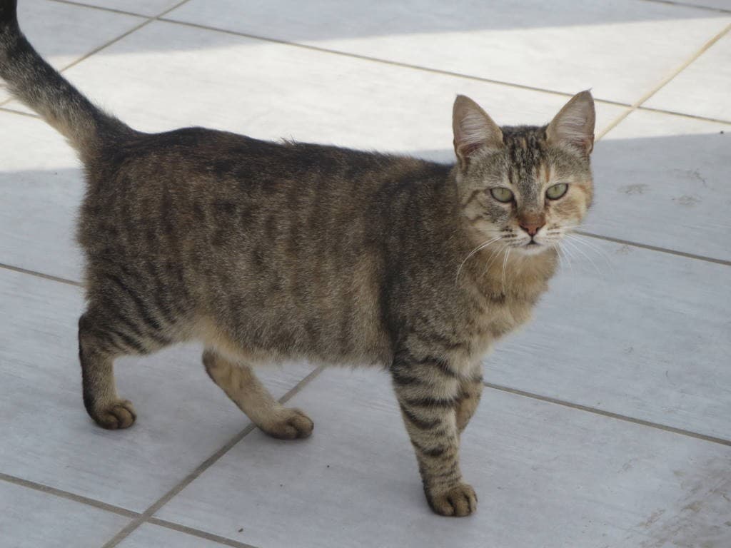 Cyprus