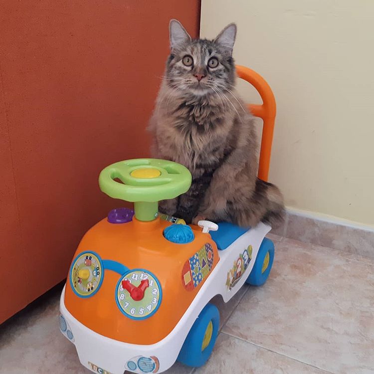 Kurilian